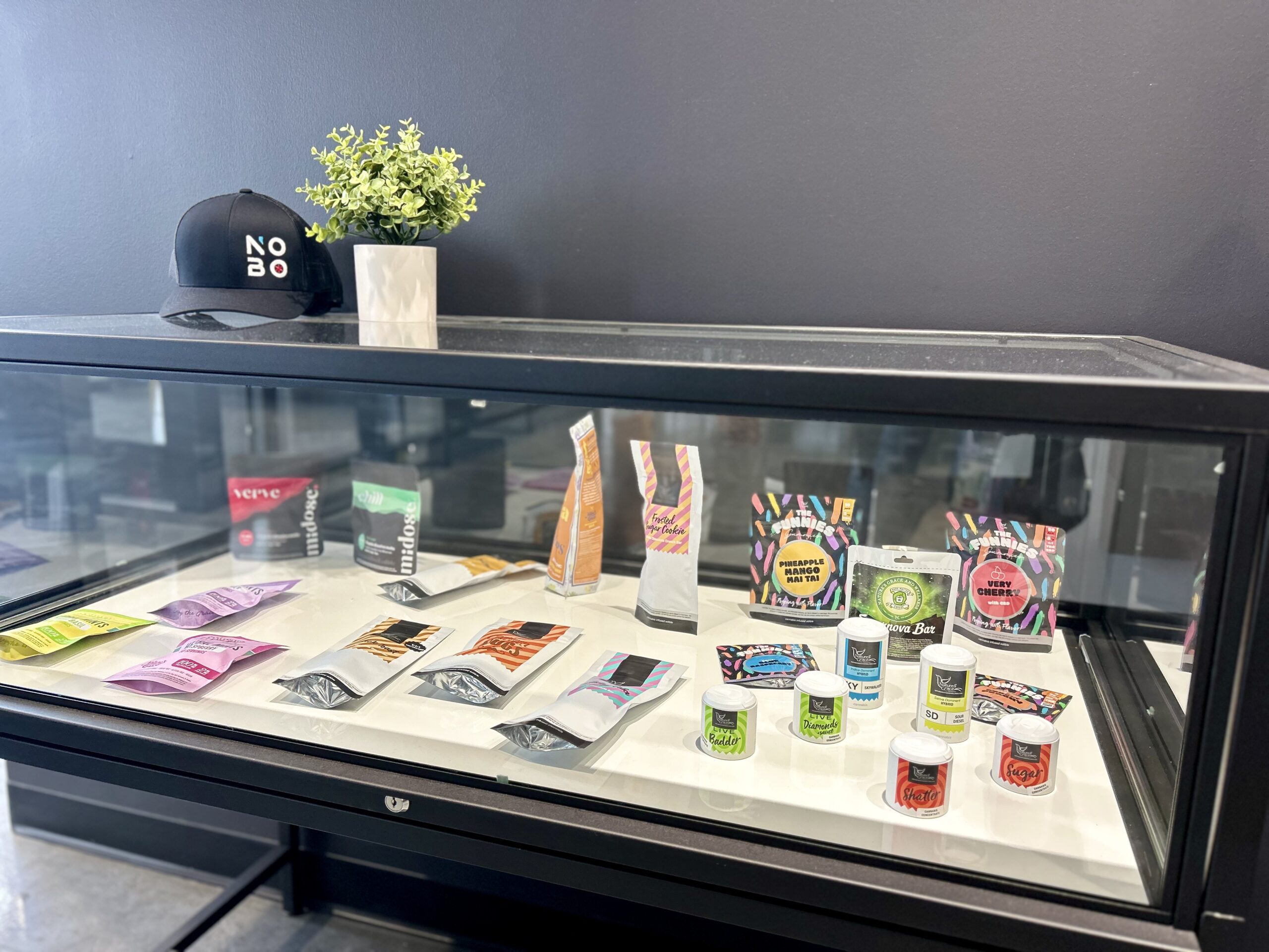 Lakemoor, IL — Gallery image 3