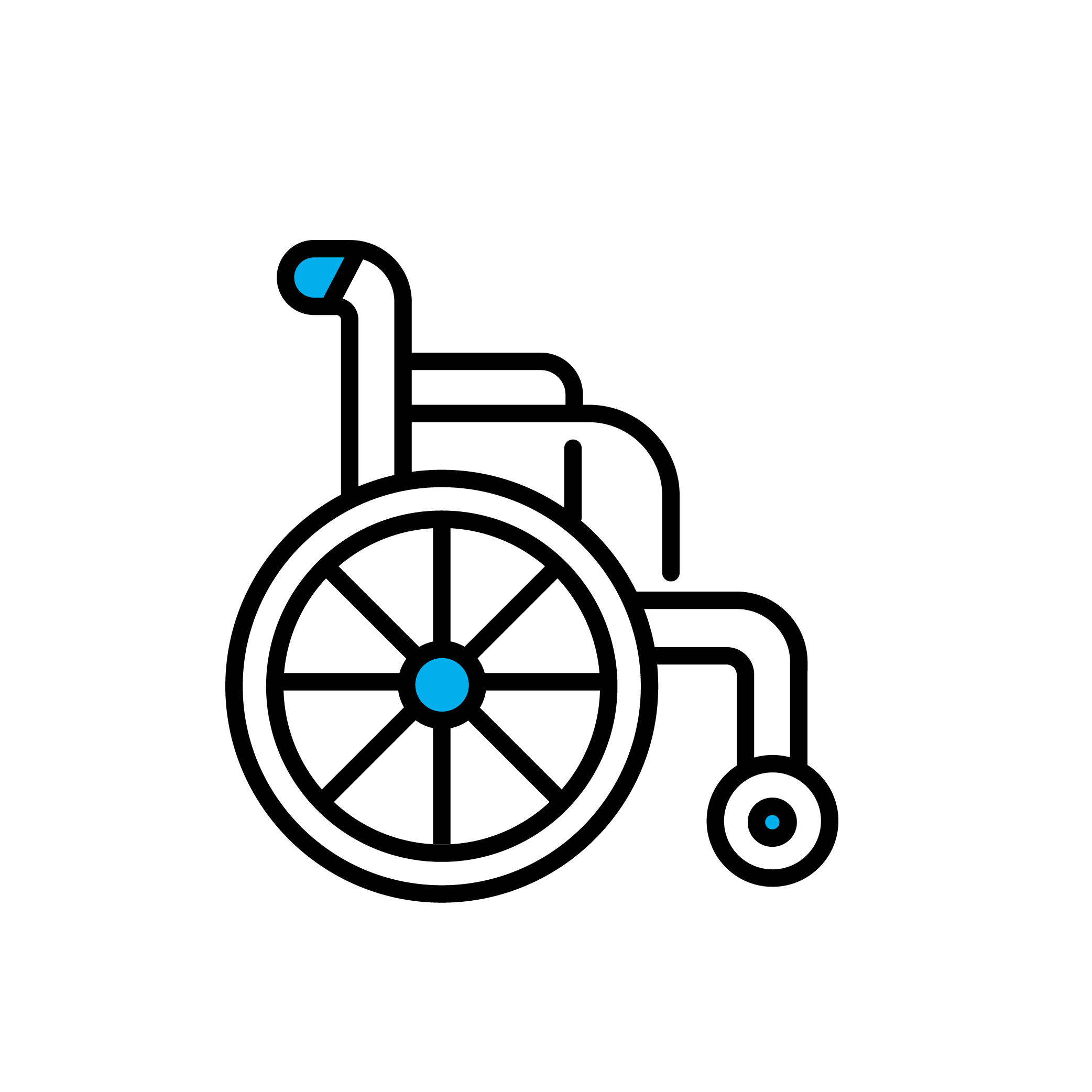 Wheelchair Accessible